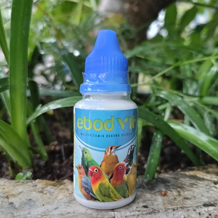 VITAMIN EBOD VIT MULTIVITAMIN BURUNG MURAI BATU KACER C IJO KENARI LOVE BIRD