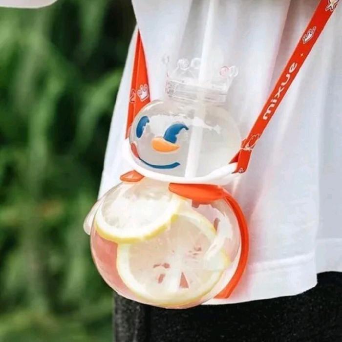 Botol Mixue Viral Bottles Lucu
