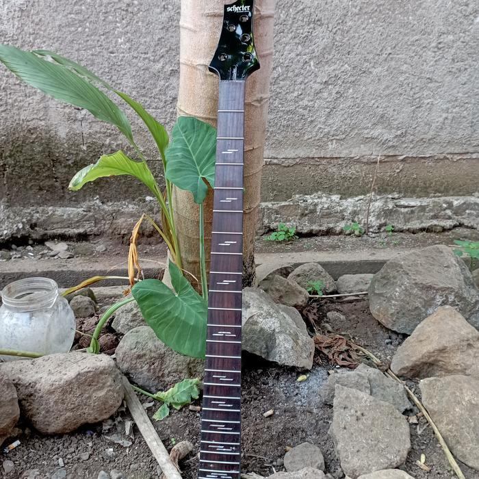 Neck Bass Schecter Omen Elite 5 String - IM