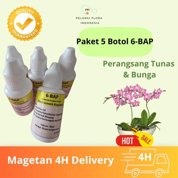 Paket 5 Botol 6-BAP Hormon Perangsang Bunga dan Tunas Tanaman Anggrek