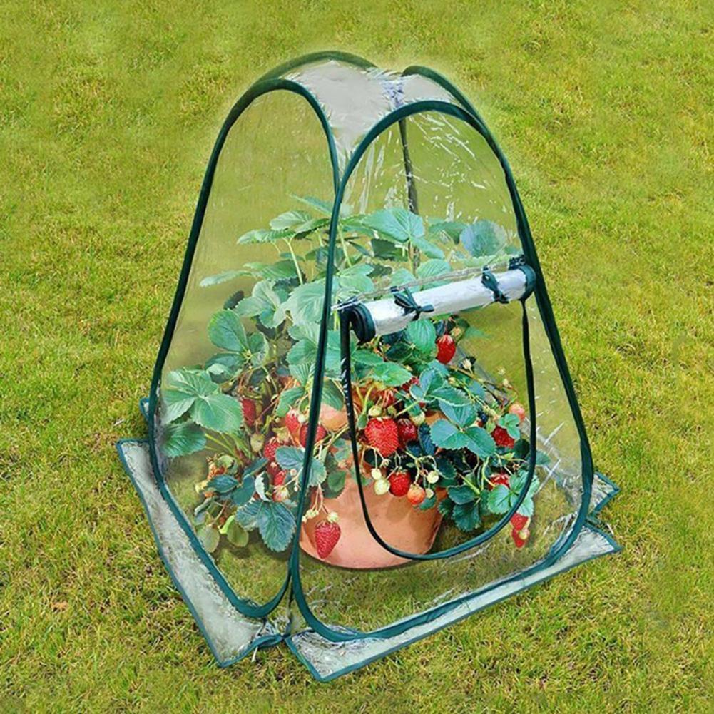 Mini Greenhouse for Plants Portable Mini Greenhouse Cover for Indoor Outdoor Gardening Plants Pvc