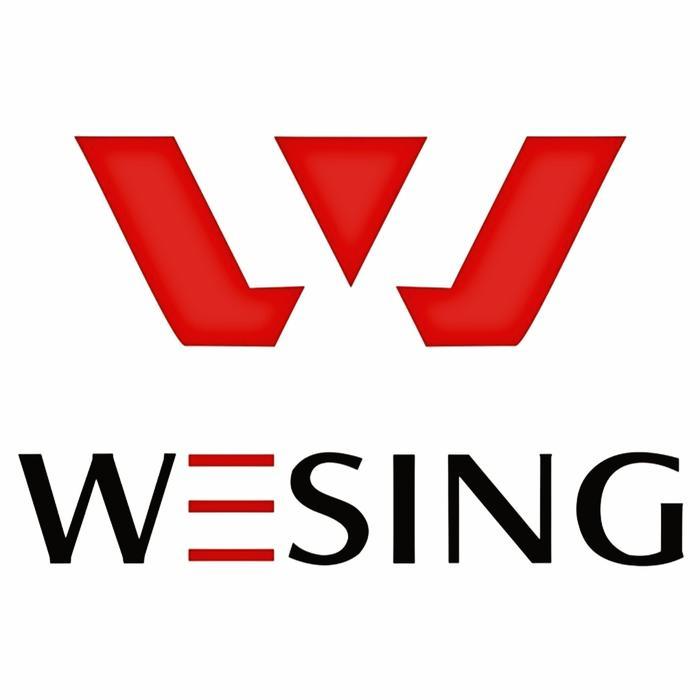 Wesing Gumshield / Mouthpiece Co