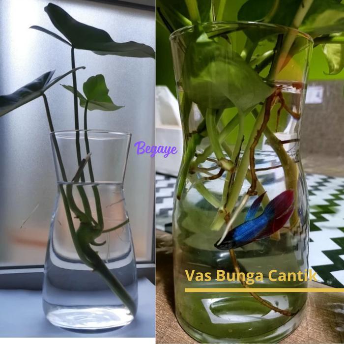 KARAF Vas Bunga Kaca 1 Liter - Cocok untuk Minuman & Hiasan Rumah - Tinggi 20 cm Diameter 10,5 cm -