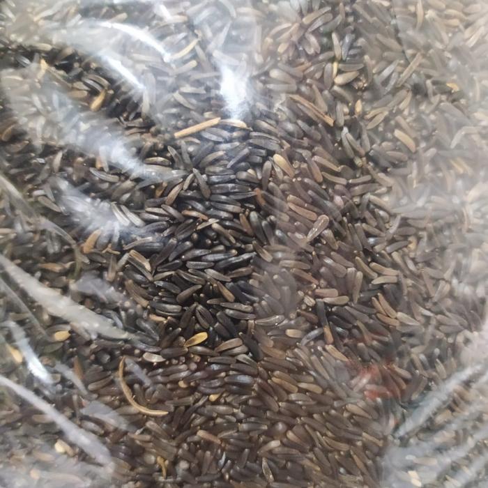 Niger Seed 1Kg Pakan Burung Red Siskin Kenari Love Bird Blacktroat