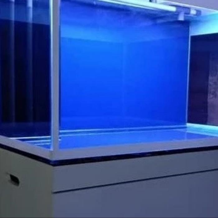 (COD) Busa ati - alas akuarium - tatakan aquarium - spon - karet