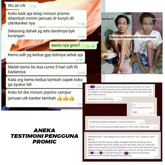 PROMIC PROBIOTIC MICROBS/BIANG/STARTER 1 LITER