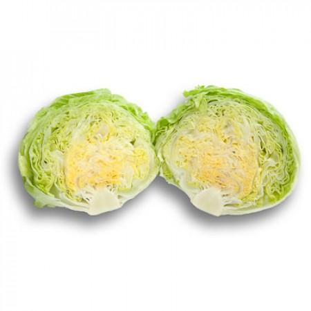 Benih Selada BRUMA RZ Isi 1000 Pills Iceberg Lettuce Rijk Zwaan