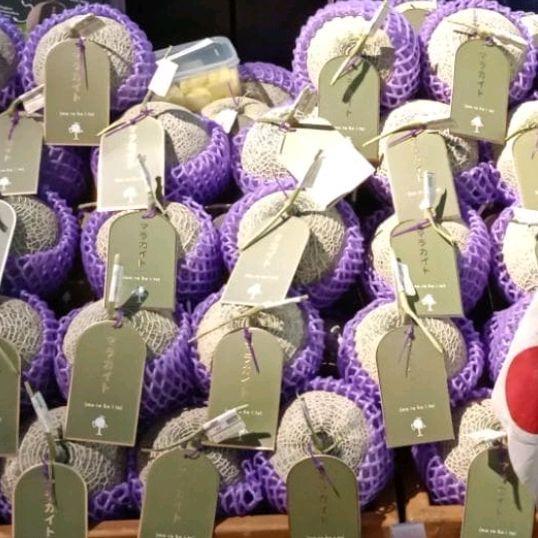 melon jepang marakaito 1 buah GARANSI MANIS / melon marakaito 1 buah Premium