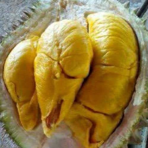 Durian Petruk premium utuh