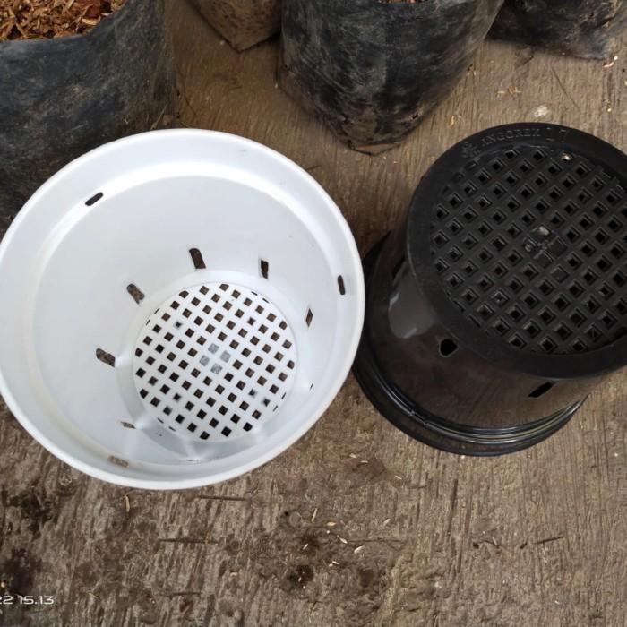 "New" pot anggrek 17, pot cattleya, pot anggrek bulan hitam,