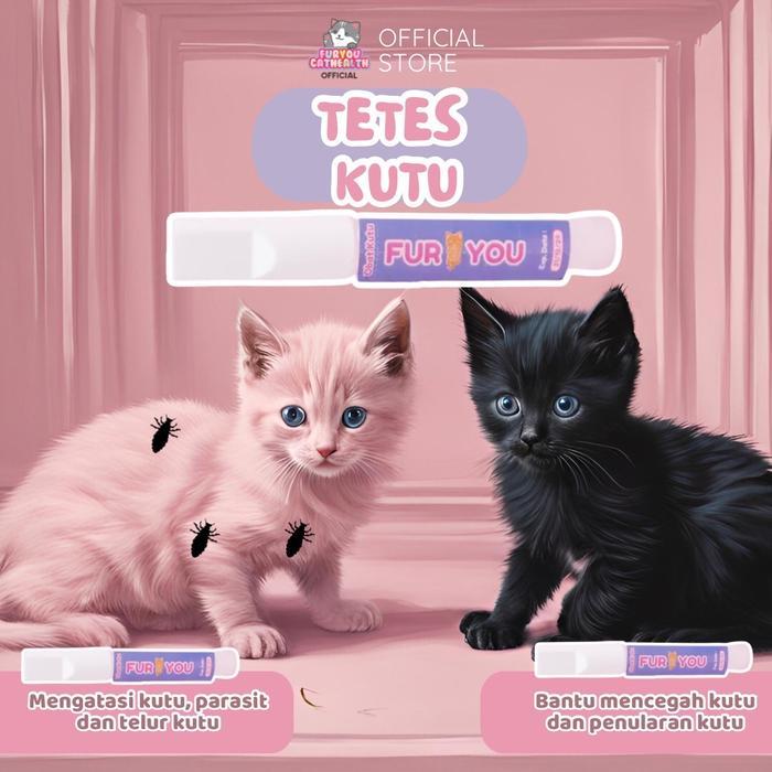 OBAT KUTU KUCING AMPUH DAN AMAN