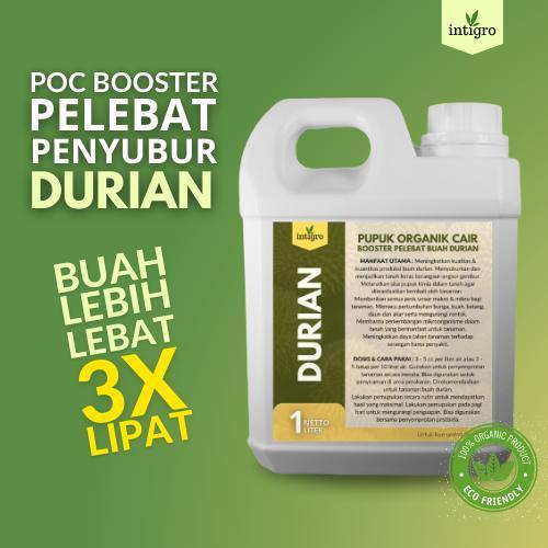 PUPUK DURIAN AGAR CEPAT BERBUAH LEBAT / PUPUK BUAH DURIAN BOOSTER / PUPUK DURIAN AGAR CEPAT TUMBUH /