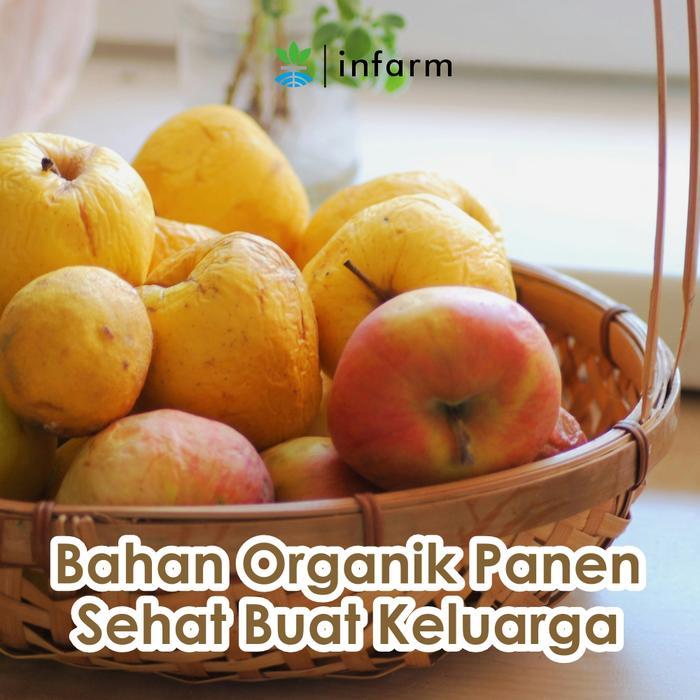 INFARM - Pupuk Buah, Sayur, dan Miracle Powder POC Paket Pelebat Bunga dan Buah INFARM Pupuk Infarm