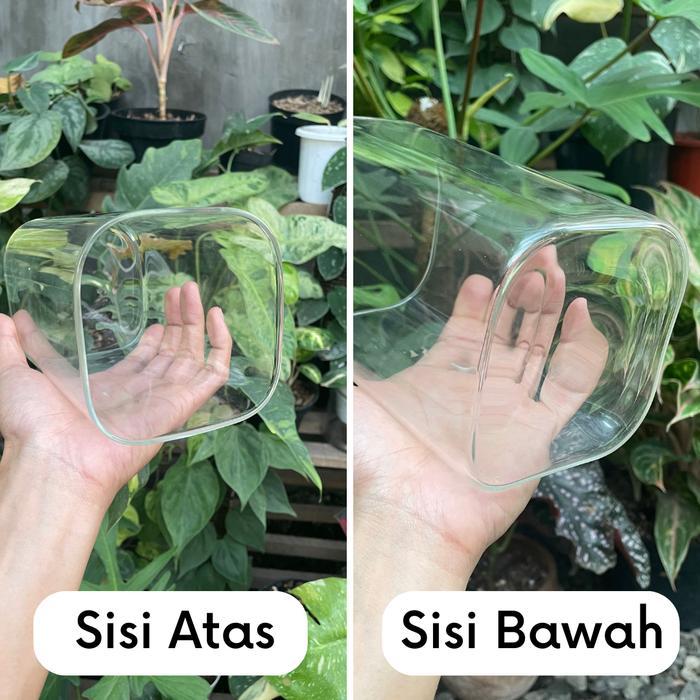 Vas Kaca Emerald - Vas Bunga Kaca Bening Kotak Vas Bunga Kotak Pot