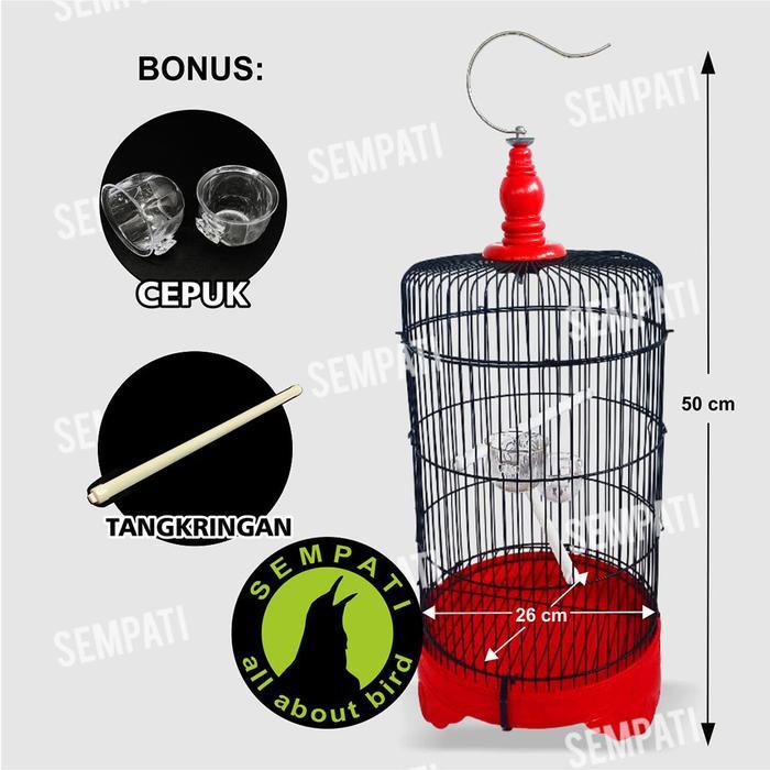 Sangkar Besi Import Kandang Burung Pleci Ciblek Kolibri Dll Spbim