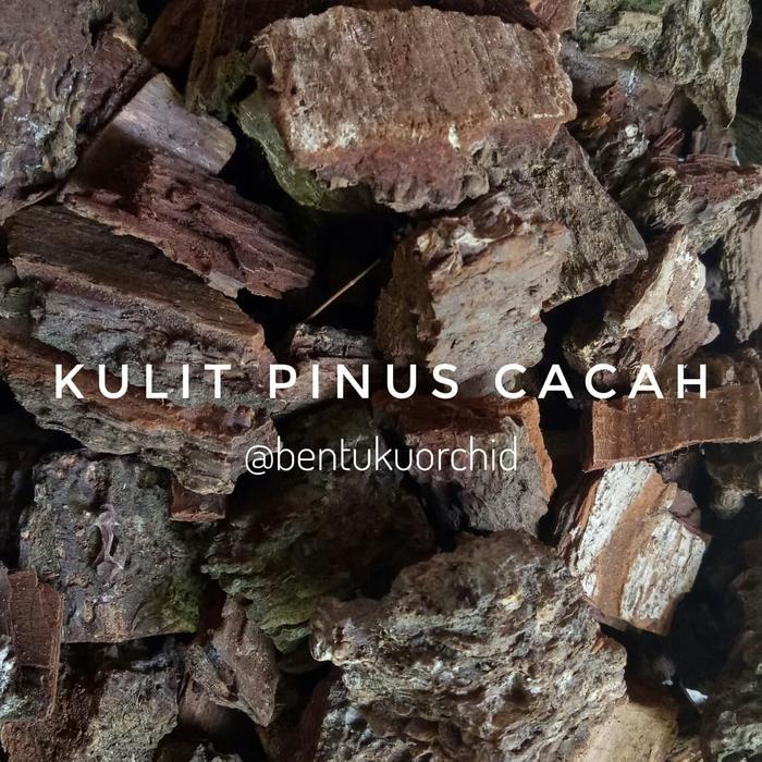 KULIT PINUS CACAH/ MEDIA TANAM ANGGREK/MEDIA TANAM