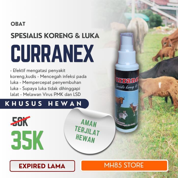 Obat Semprot Gudik Kambing Dan Sapi Untuk Hewan Terkena Virus PMK kuku
