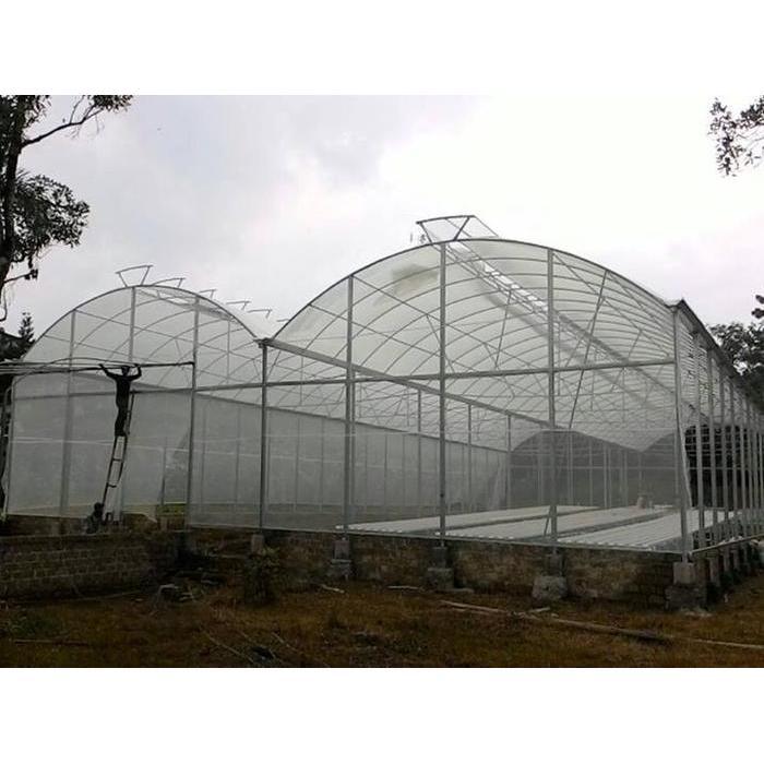"New" Hercules Plastik UV Lebar 3 Meter Tebal 200 Micron Kandungan 14% untuk Hidroponik & Green