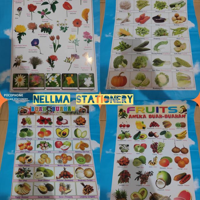 Poster Edukasi anak Mengenal Buah Buahan