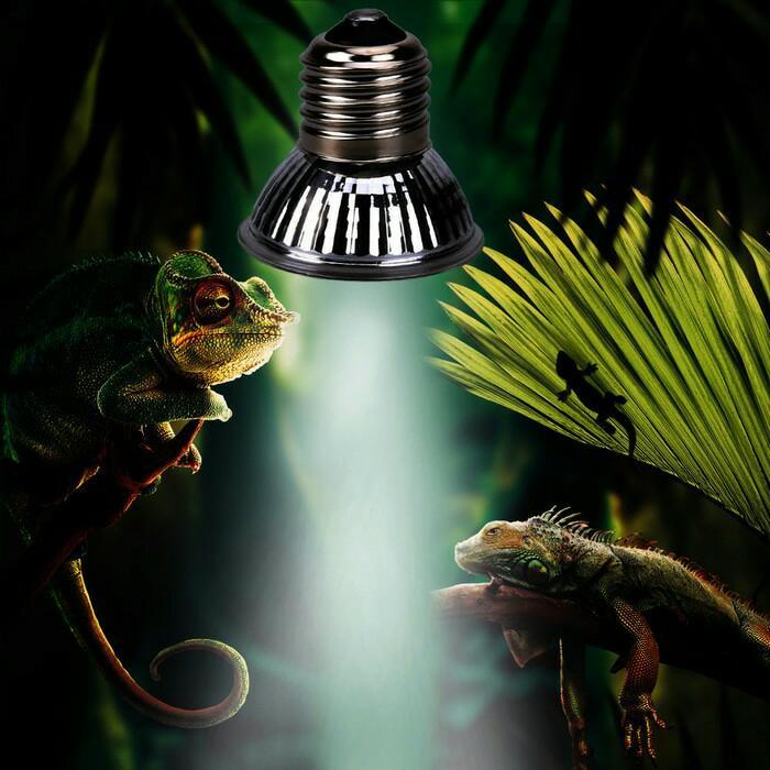 Premium Lampu Uvb Uva 3.0 Reptile Full Spektrum 25 W 50 Watt Burung Reptil Hot Original