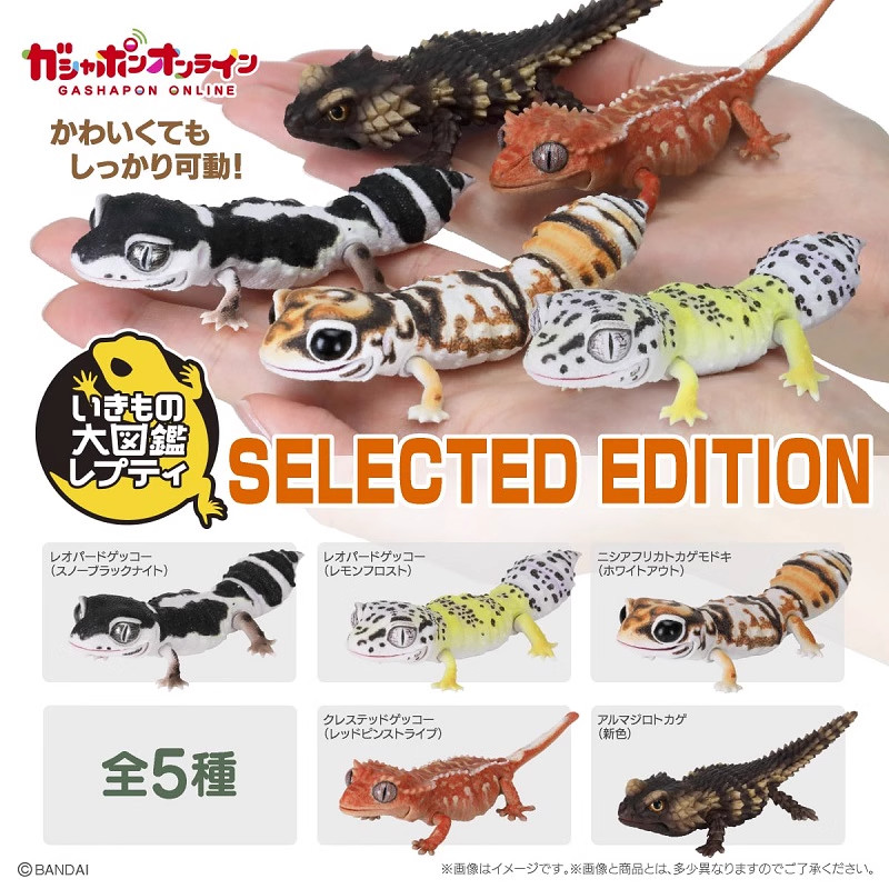Bandai Original Gashapon Animal Leopard Gecko Fat-Tailed Gecko Figure - Reptile Collectible Toy,