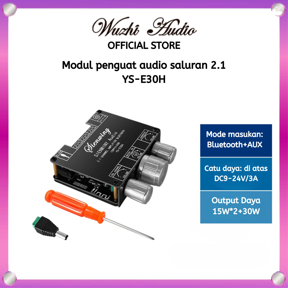Wuzhi Audio | YS-E30H Dengan APP  2.1 Channel Bluetooth 5.1 Amplifier Papan Subwoofer Audio Amplifie