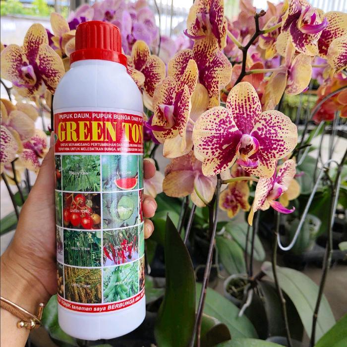 Pupuk Organik cair untuk 2 anggrek spek premiun