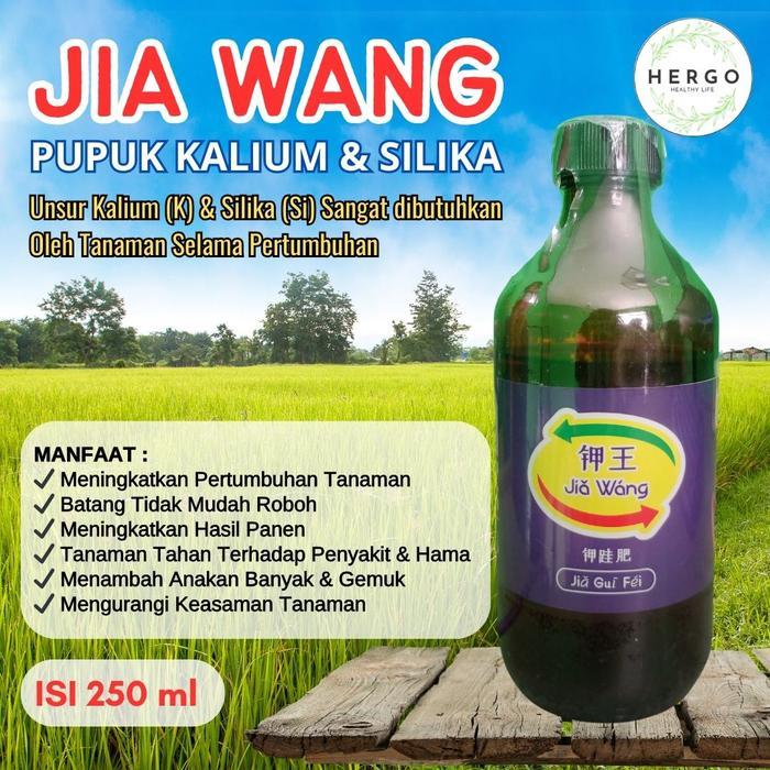 JIA WANG Raja Pupuk Kalium & Silika