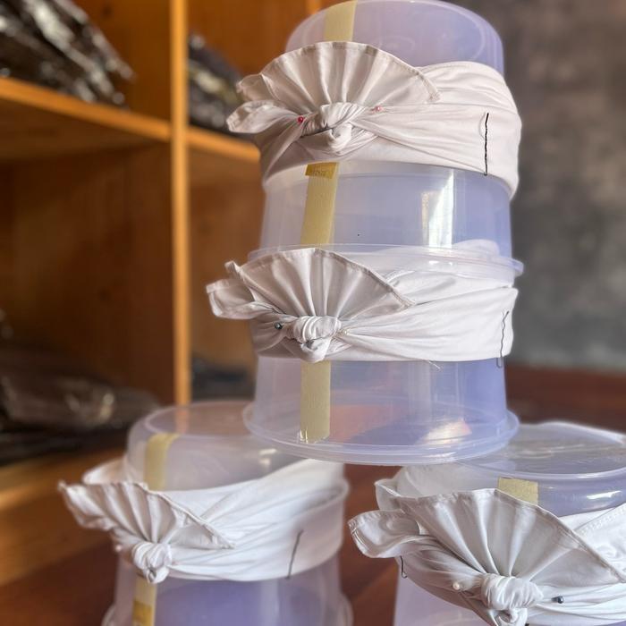 Udeng putih jadi rimpit alep