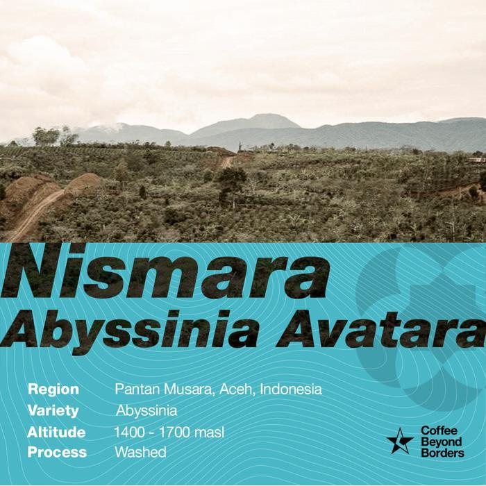 Arabica Green Beans - Indonesia Nismara Abyssinia Avatara