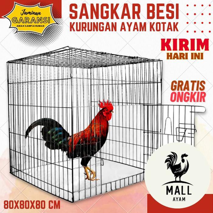 AYAM MALL Sangkar Kandang Besi Kotak Lipat Kurung Ayam Jago Laga Petarung Aduan Kurungan Ayam