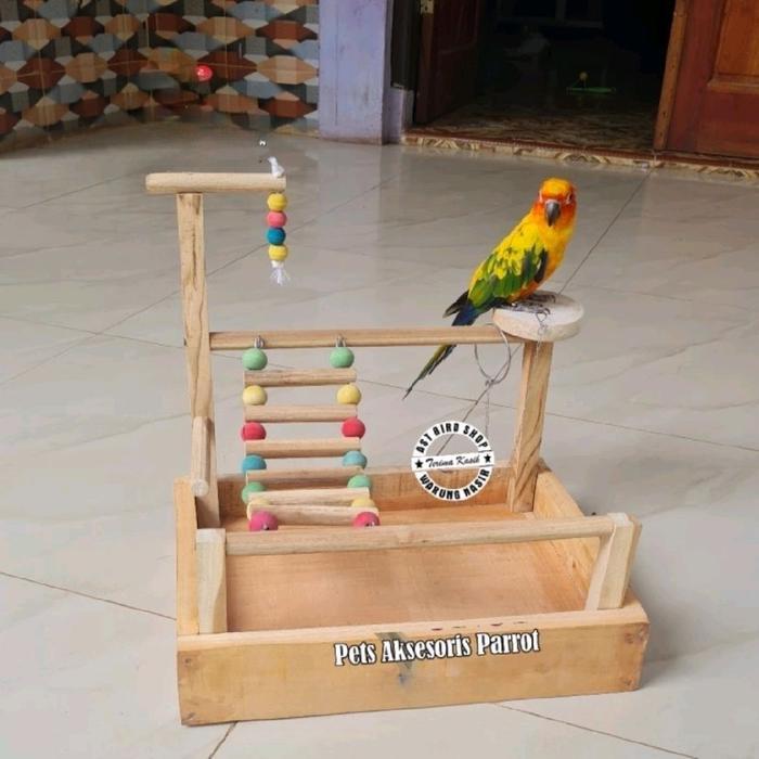 Ready Playground Untuk Burung Small Parrot Sunconure Falk Indian Ringneck Berkualitas