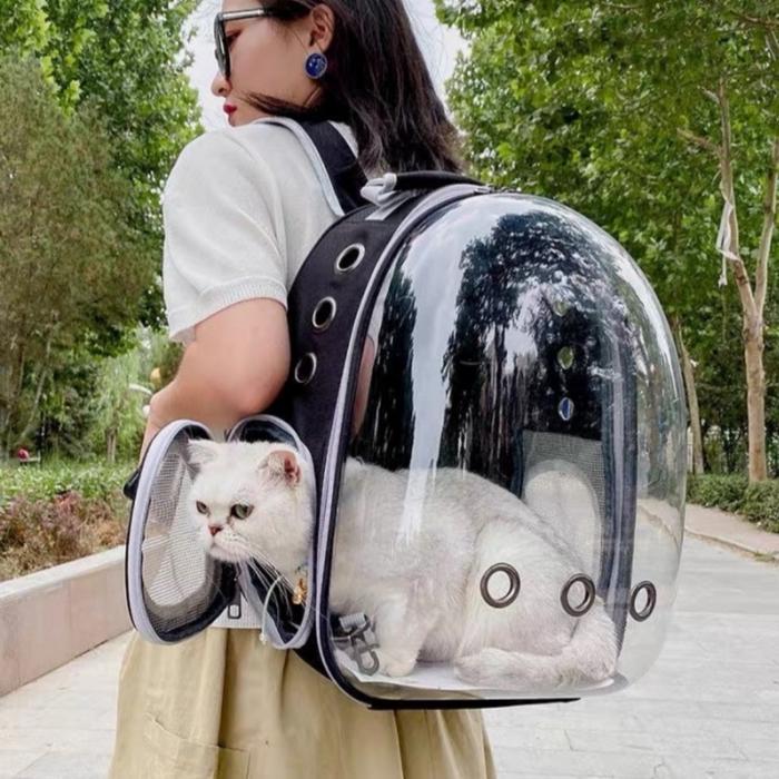 TAS KUCING ASTRONOT MOTIF TROPICAL.