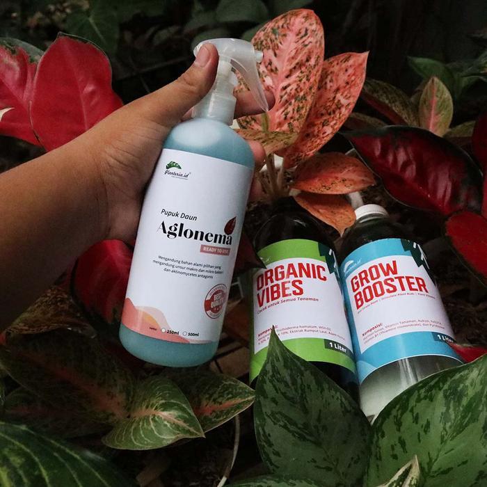 Pupuk Organik Vitamin B1 Aglonema Paket Adelia Tanaman Terbaik