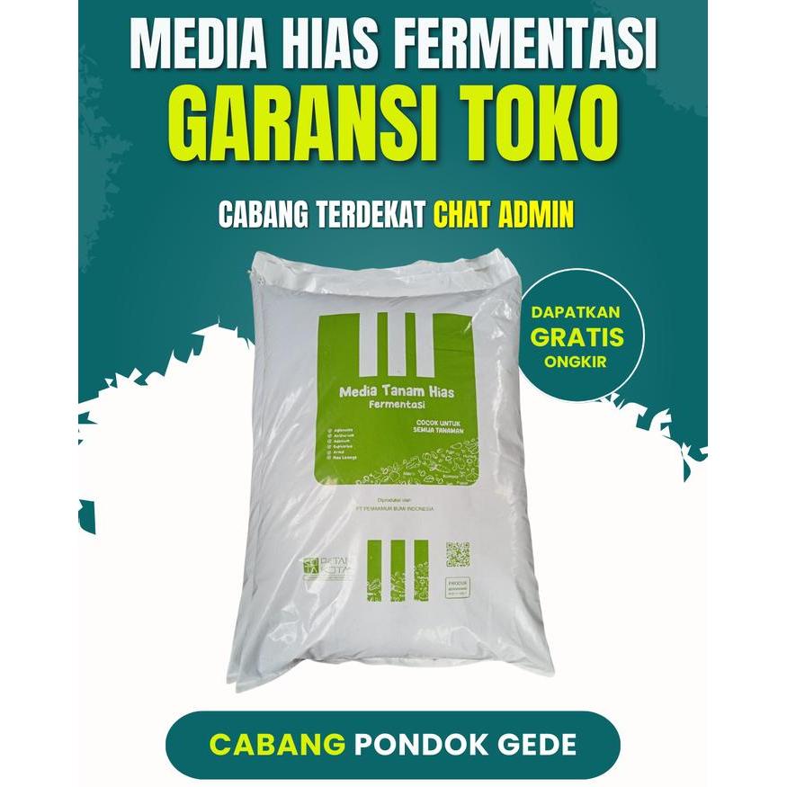 MEDIA TANAM HIAS SIAP PAKAI AGLONEMA