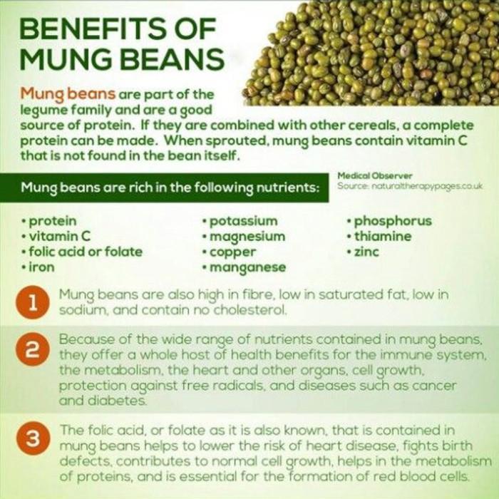 KACANG HIJAU ORGANIK 1 KG