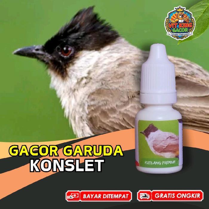 Vitamin Burung Kutilang Gacor