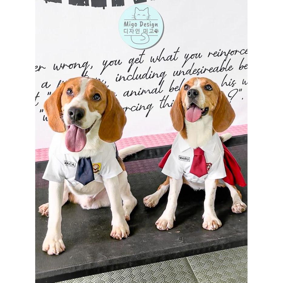 Sale SCHOOL EDITION Migo Design E02 - Baju Seragam Sekolah Indonesia SD SMP SMA SMU Couple Kucing/