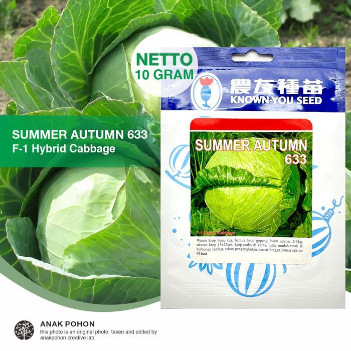 (1 PACK - 10 GRAM) Benih Kubis Kol Hijau Summer Autumn Hibrida F1 Seeds - Known You Seed KYS