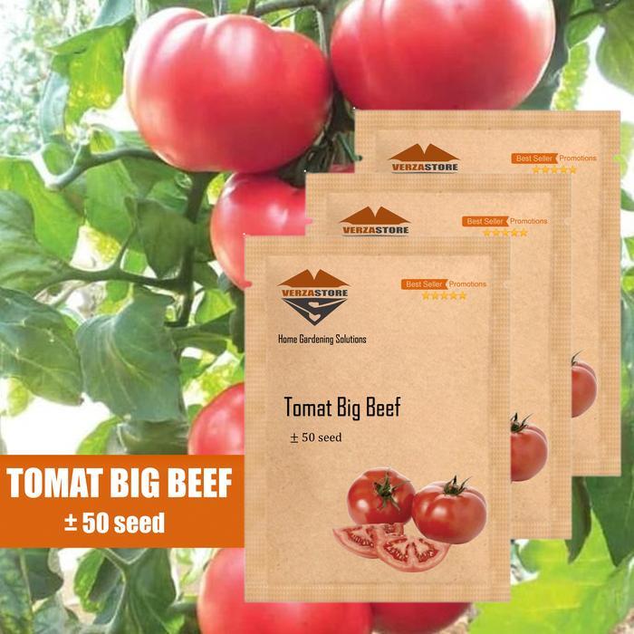 50 Biji- Benih Bibit Buah Tomat Beef Beetsteack