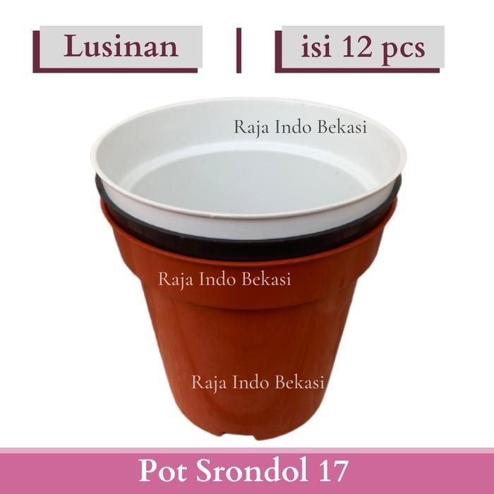 Top Lusinan isi 12pcs Pot Tinggi Srondol 17 Pot Bunga Tinggi Pot Hias Aglonema