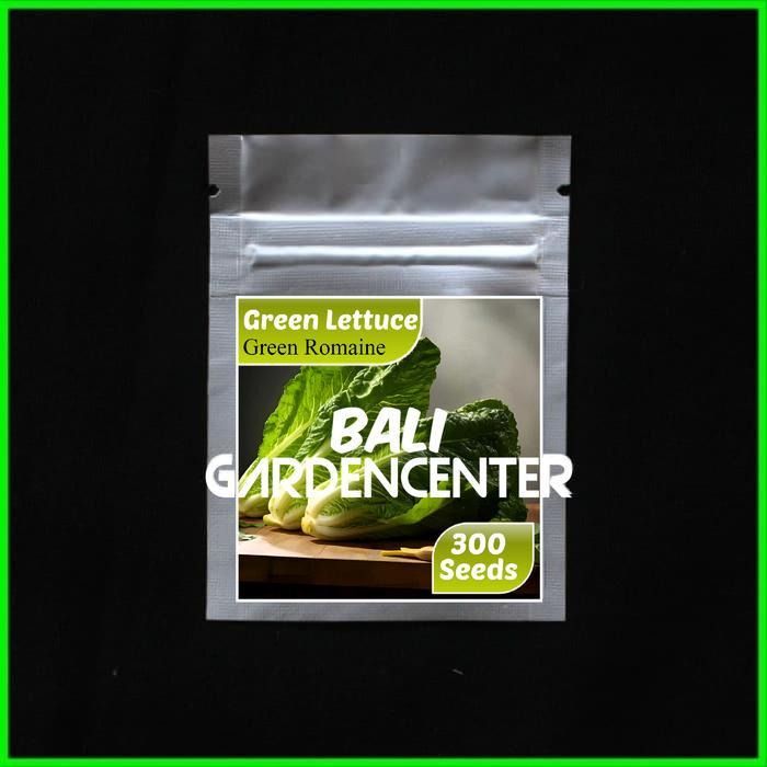 BENIH BIJI SELADA HIJAU ROMAINE - GREEN ROMAINE