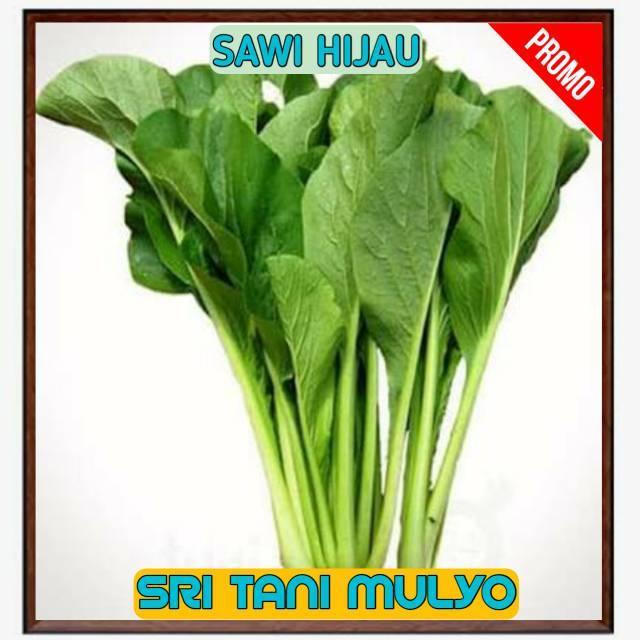 Sale Terlaris 150 Biji - Benih Sawi Hijau Unggul - Bibit Sawi Manis Benih Sayuran Bibit Sayuran
