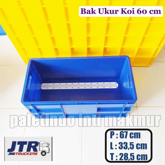 Bak Ukur Ikan Koi 60 Cm Kirim Kargo