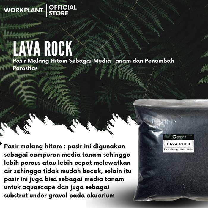 GARDEN" LAVA ROCK - PASIR MALANG HITAM VULCANIC SOIL LAVAROCK PASIR VULKANIK MEDIA TANAM