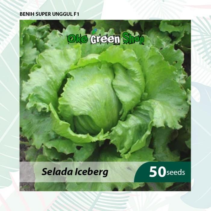 Benih Seribuan - 50 Biji Benih Bibit Lettuce Iceberg Selada Bokor