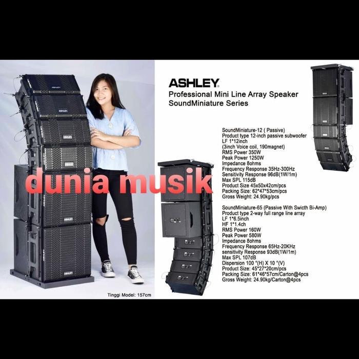 Speaker Ashley Line Array Mini Soundminiature Serie Array 6.5Inch Ori Co