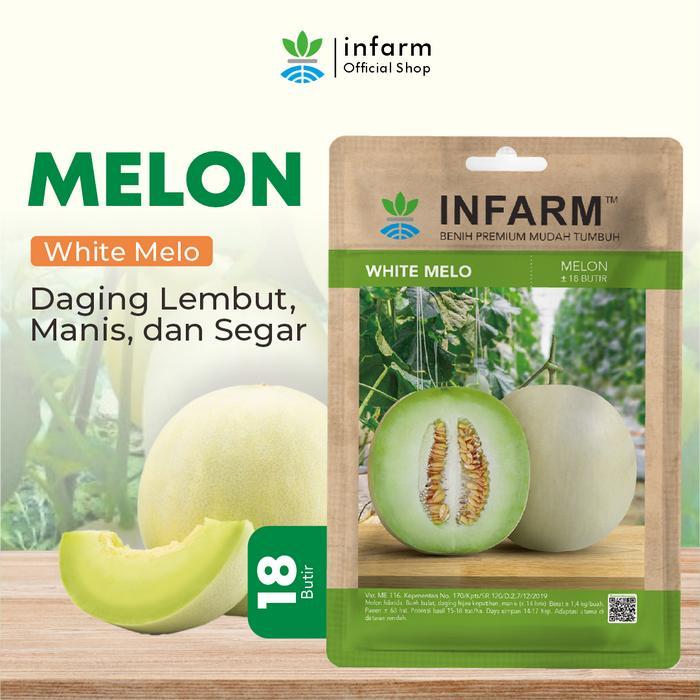 INFARM - Benih Buah Melon Whitemelo, Benih Unggul Buah Melon Hibrida F1 Bibit Super Buah Melon Madu