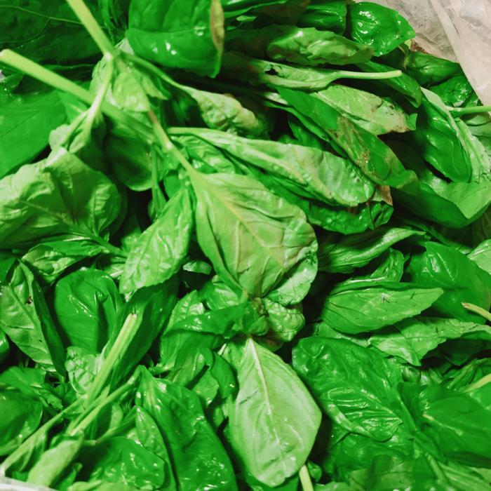 BASIL FRESH 1 KG
