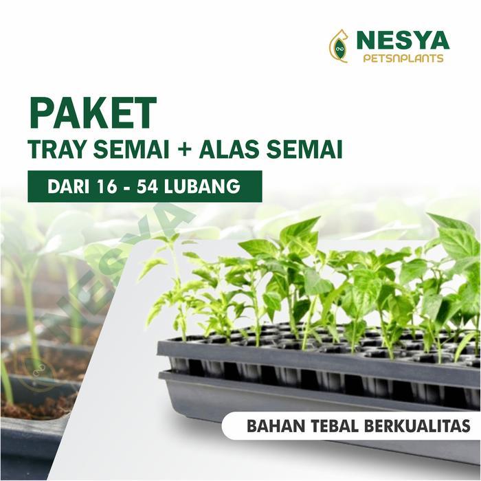 Paket Tray Semai Potray Pot Semai dan Alas Tray 32 50 72 98 105 128 162 200 288 Lubang